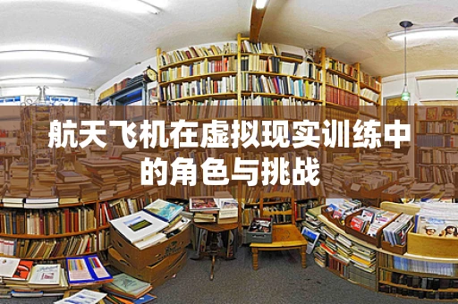 航天飞机在虚拟现实训练中的角色与挑战