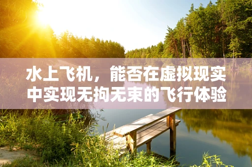 水上飞机，能否在虚拟现实中实现无拘无束的飞行体验？