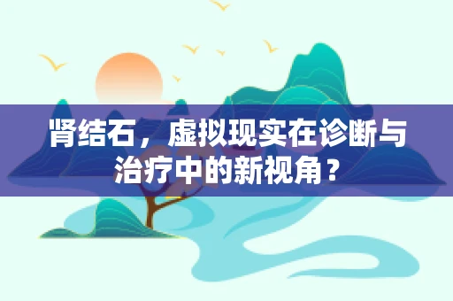 肾结石，虚拟现实在诊断与治疗中的新视角？