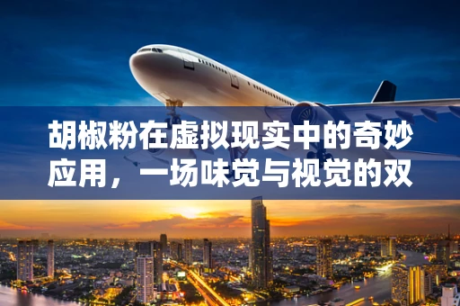 胡椒粉在虚拟现实中的奇妙应用，一场味觉与视觉的双重盛宴？