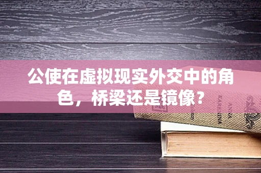 公使在虚拟现实外交中的角色，桥梁还是镜像？