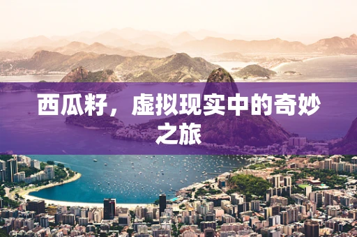 西瓜籽，虚拟现实中的奇妙之旅