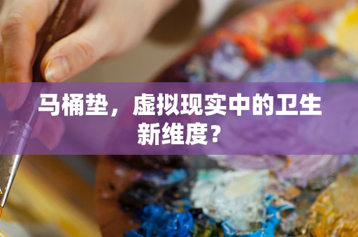 马桶垫，虚拟现实中的卫生新维度？