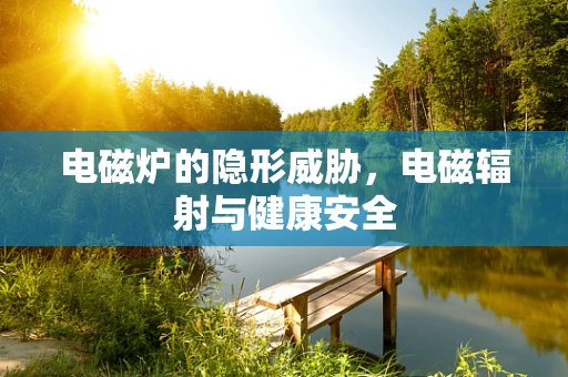 电磁炉的隐形威胁，电磁辐射与健康安全