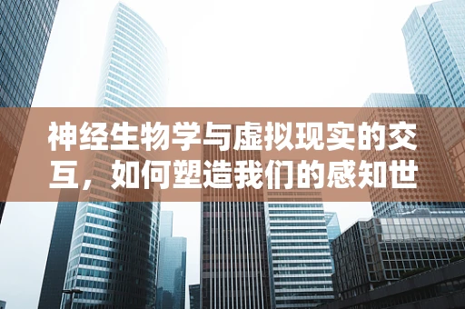 神经生物学与虚拟现实的交互，如何塑造我们的感知世界？