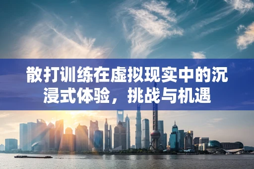散打训练在虚拟现实中的沉浸式体验，挑战与机遇