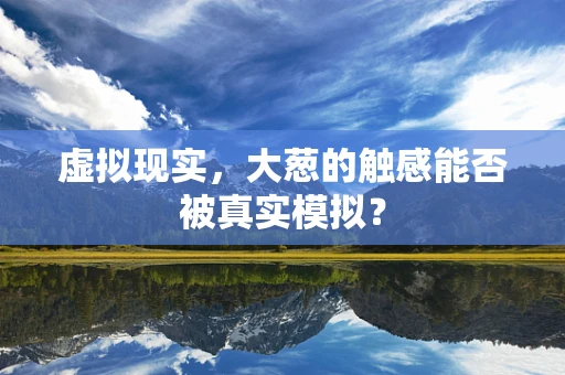虚拟现实，大葱的触感能否被真实模拟？