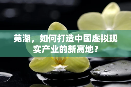 芜湖，如何打造中国虚拟现实产业的新高地？