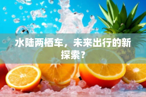 水陆两栖车，未来出行的新探索？