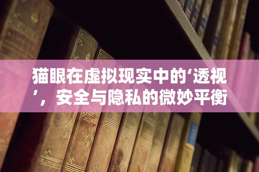 猫眼在虚拟现实中的‘透视’，安全与隐私的微妙平衡？