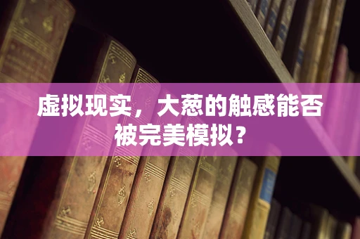 虚拟现实，大葱的触感能否被完美模拟？
