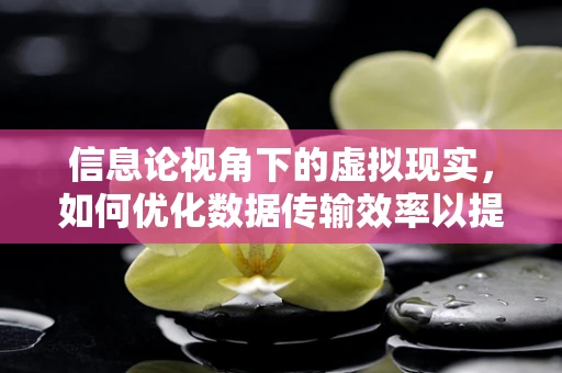 信息论视角下的虚拟现实，如何优化数据传输效率以提升用户体验？