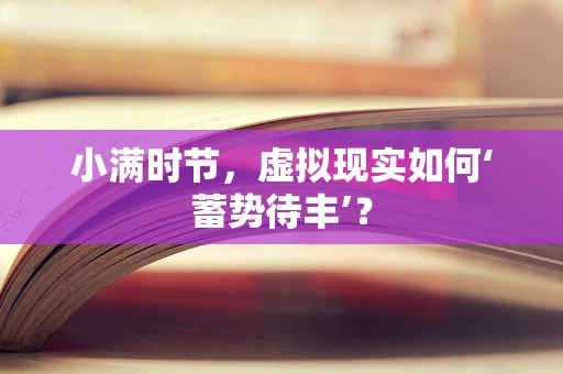 小满时节，虚拟现实如何‘蓄势待丰’？