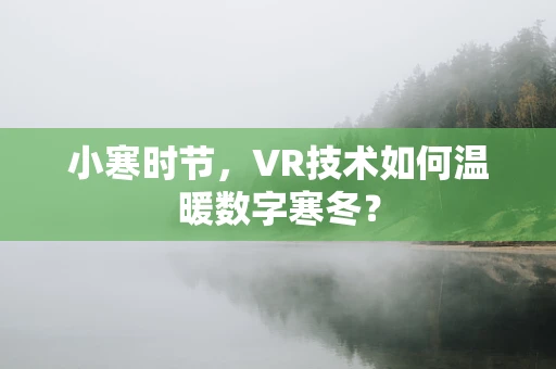 小寒时节，VR技术如何温暖数字寒冬？