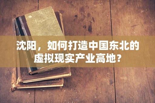 沈阳，如何打造中国东北的虚拟现实产业高地？