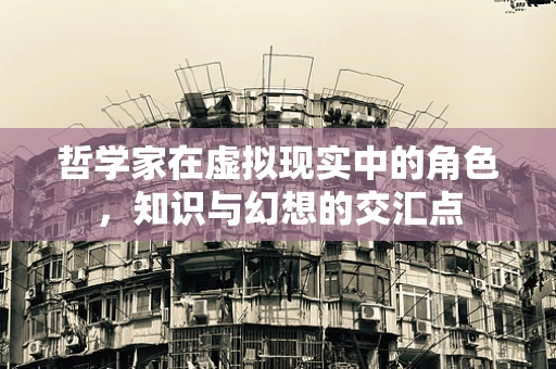 哲学家在虚拟现实中的角色，知识与幻想的交汇点