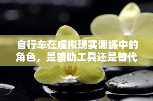 自行车在虚拟现实训练中的角色，是辅助工具还是替代品？