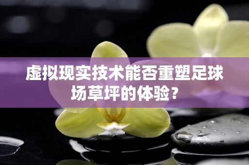 虚拟现实技术能否重塑足球场草坪的体验？