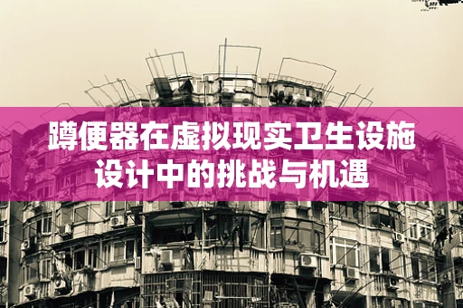 蹲便器在虚拟现实卫生设施设计中的挑战与机遇