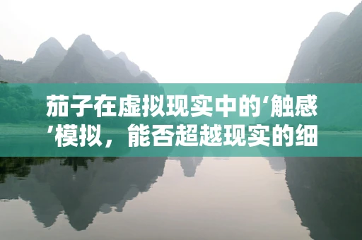 茄子在虚拟现实中的‘触感’模拟，能否超越现实的细腻度？