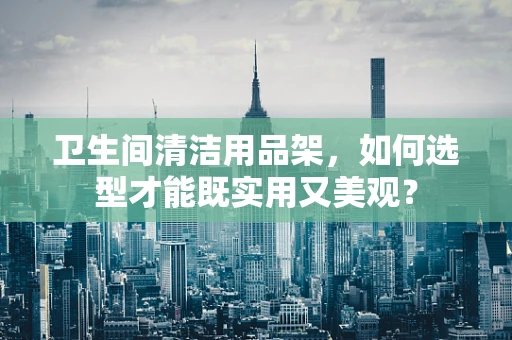 卫生间清洁用品架，如何选型才能既实用又美观？