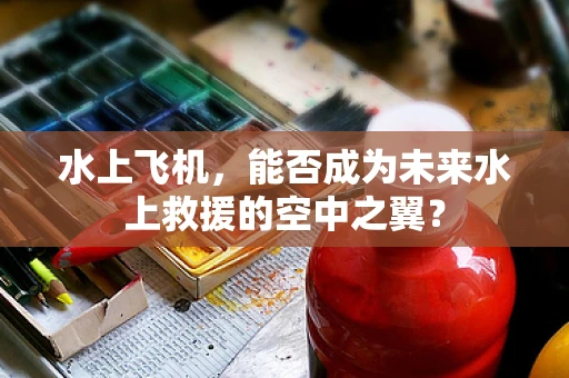 水上飞机，能否成为未来水上救援的空中之翼？