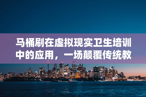 马桶刷在虚拟现实卫生培训中的应用，一场颠覆传统教育方式的革命？