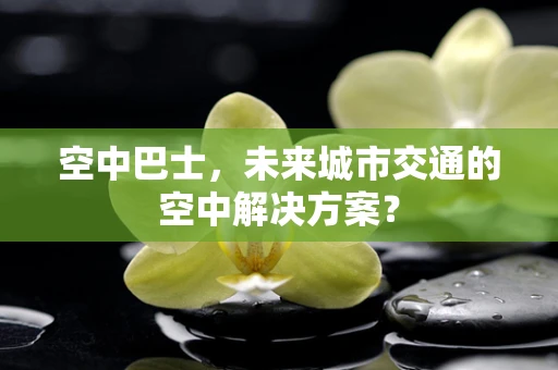 空中巴士，未来城市交通的空中解决方案？