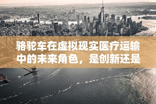 骆驼车在虚拟现实医疗运输中的未来角色，是创新还是噱头？