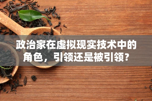 政治家在虚拟现实技术中的角色，引领还是被引领？