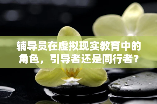 辅导员在虚拟现实教育中的角色，引导者还是同行者？