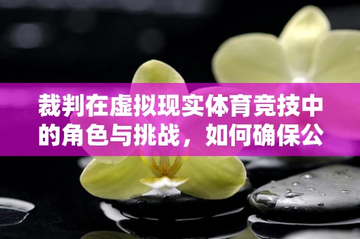 裁判在虚拟现实体育竞技中的角色与挑战，如何确保公平与安全？