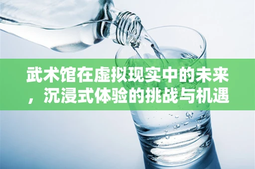 武术馆在虚拟现实中的未来，沉浸式体验的挑战与机遇？