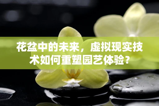 花盆中的未来，虚拟现实技术如何重塑园艺体验？