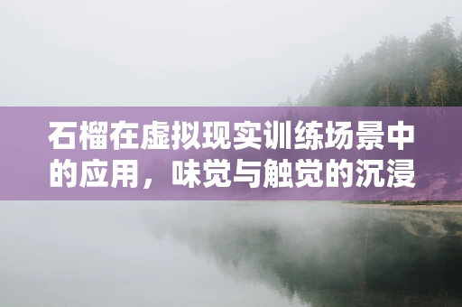 石榴在虚拟现实训练场景中的应用，味觉与触觉的沉浸式体验？