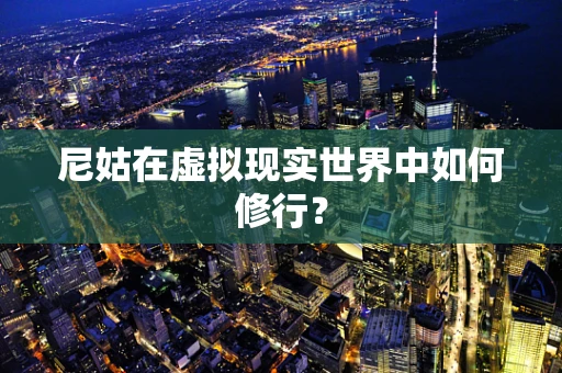 尼姑在虚拟现实世界中如何修行？