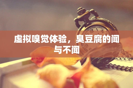 虚拟嗅觉体验，臭豆腐的闻与不闻