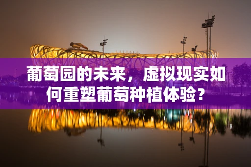 葡萄园的未来，虚拟现实如何重塑葡萄种植体验？