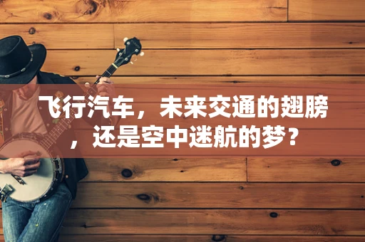 飞行汽车，未来交通的翅膀，还是空中迷航的梦？