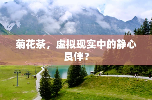 菊花茶，虚拟现实中的静心良伴？