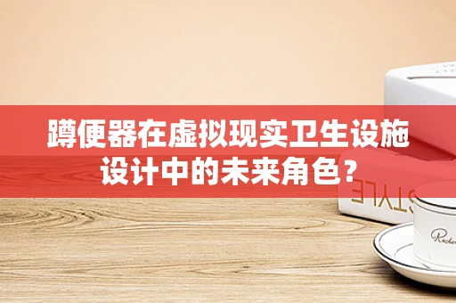 蹲便器在虚拟现实卫生设施设计中的未来角色？