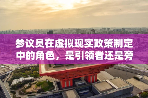 参议员在虚拟现实政策制定中的角色，是引领者还是旁观者？
