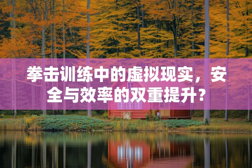 拳击训练中的虚拟现实，安全与效率的双重提升？