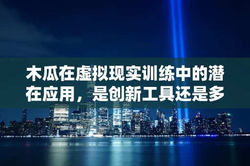 木瓜在虚拟现实训练中的潜在应用，是创新工具还是多余之举？