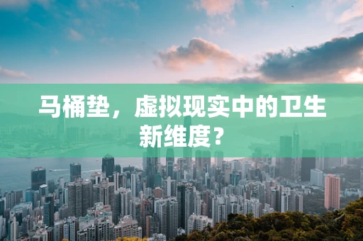 马桶垫，虚拟现实中的卫生新维度？