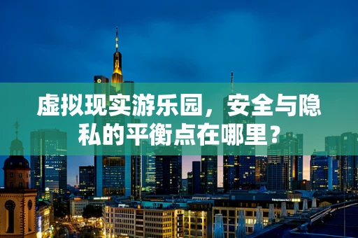 虚拟现实游乐园，安全与隐私的平衡点在哪里？