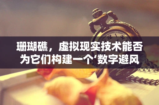珊瑚礁，虚拟现实技术能否为它们构建一个‘数字避风港’？