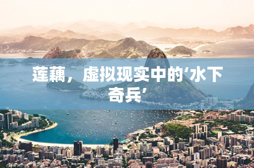 莲藕，虚拟现实中的‘水下奇兵’