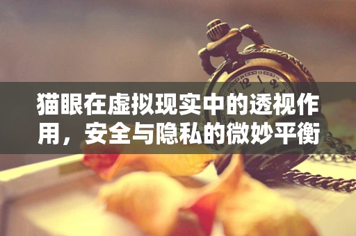 猫眼在虚拟现实中的透视作用，安全与隐私的微妙平衡