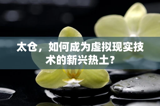 太仓，如何成为虚拟现实技术的新兴热土？